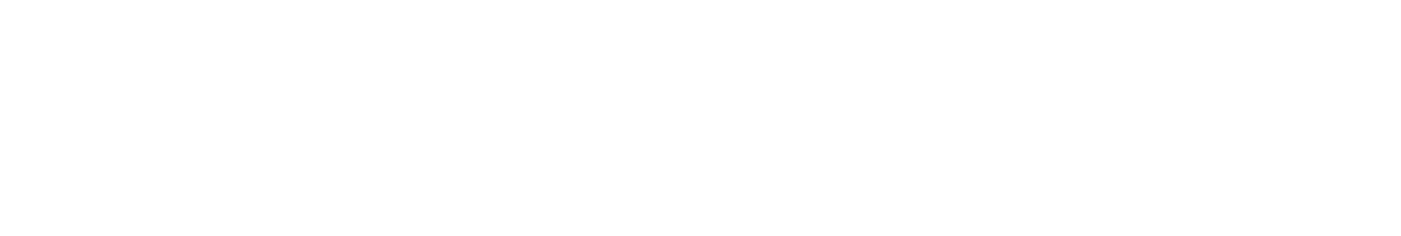 Pet Mimo horizontal logo in white